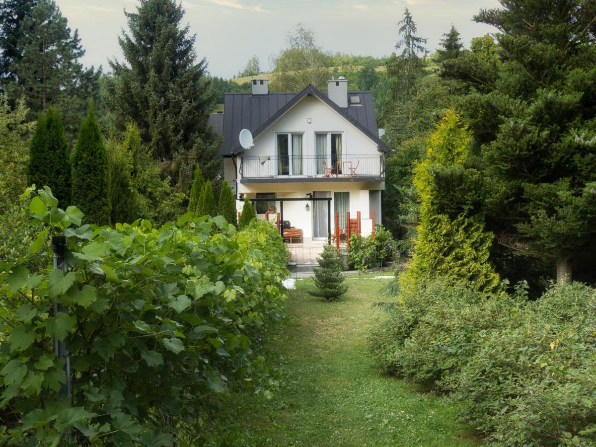 Villa Hasaba Kroscienko nad Dunajcem Exterior photo